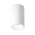 Lampa sufitowa Zoom C029CL-01-S-W - Maytoni