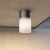 Lampa sufitowa Willis O418CL-01B - Maytoni