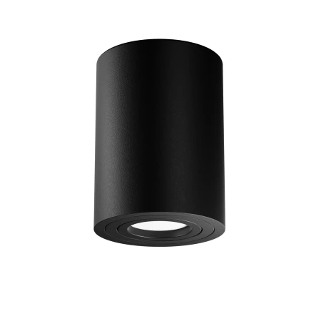 Lampa sufitowa  TUBA ALFA C016CL-01B - Maytoni