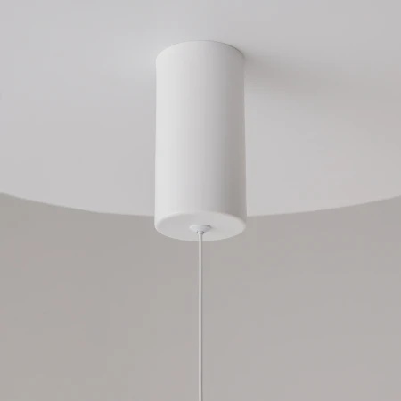 Lampa wisząca Ray P022PL-L20W3K - Maytoni