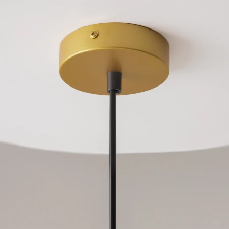 Lampa loft wisząca TELFORD P361PL-01G – Maytoni