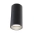 Lampa sufitowa  TUBA ALFA C010CL-01B - Maytoni