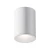 Lampa sufitowa Zoom C029CL-01W - Maytoni