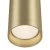 Lampa sufitowa Focus C010CL-01MG - Maytoni