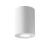Lampa sufitowa TUBA ALFA  C016CL-01W - Maytoni