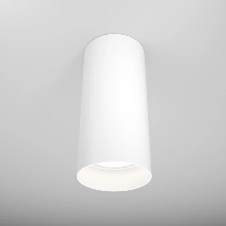 Oprawa sufitowa ALFA C010CL-01W – Maytoni