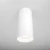 Oprawa sufitowa ALFA C010CL-01W – Maytoni