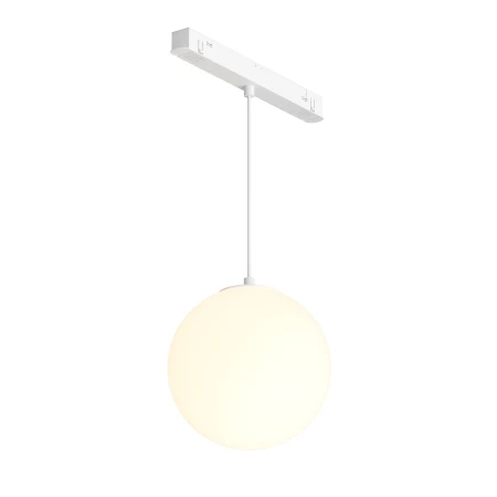 Lampa wisząca do szyn magnetycznych EXILITY Luna 5W 3000K TR039-2-5W3K-W-1 - Maytoni