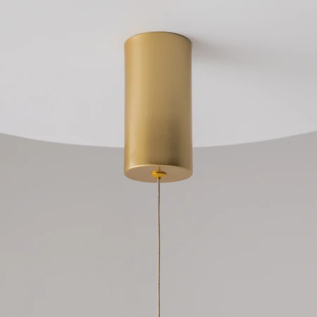Lampa wisząca Ray P022PL-L20G3K - Maytoni