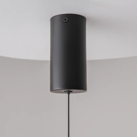 Lampa wisząca Ray P022PL-L20B3K - Maytoni