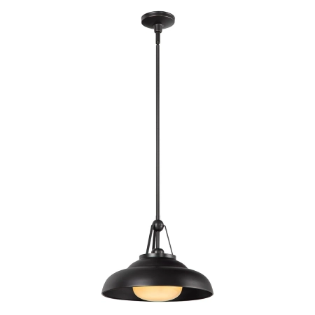 Lampa wisząca metalowa czarna ze szklanym kloszem QN-PALMETTO-P-M-UBZ z serii Palmetto