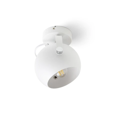 Kinkiet AGNETA R13893 - Rendl