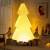 Lampa ogrodowa choinka X-MASS TREE L LED RGBW 16 kolorów 113 cm ES-CR022 - Step Into Desgin
