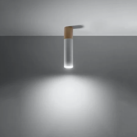 Plafon PABLO biały SL.0631 - Sollux