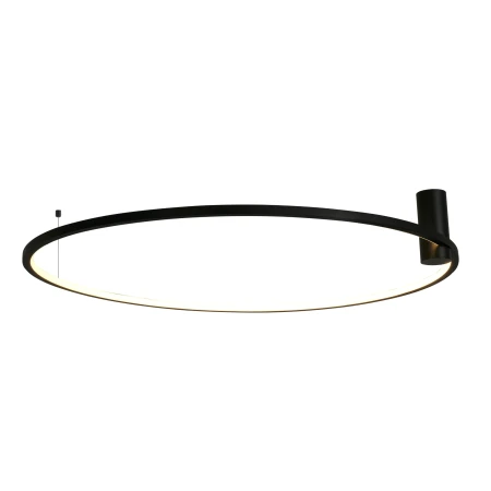 Lampa sufitowa RINGA L CL0112-L-BK - Yaskr