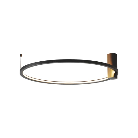 Lampa sufitowa RINGA M CL0112-M-BK - Yaskr