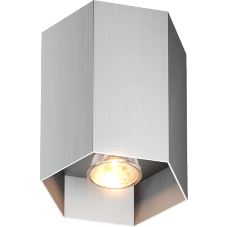 Oprawa sufitowa POLYGON CL 1L 20067-AL - Zuma Line