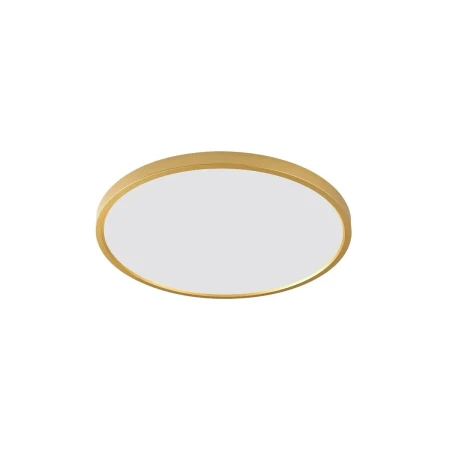 Lampa sufitowa CAMI WM-BP1108-S-G - Zuma Line