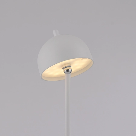 Lampa podłogowa BELLIS 19245-16 - Paul Neuhaus
