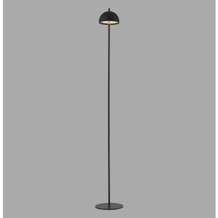 Lampa podłogowa BELLIS 19245-18 - Paul Neuhaus