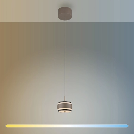 Lampa wisząca PURE FALLING RINGS 2503-97 - Paul Neuhaus