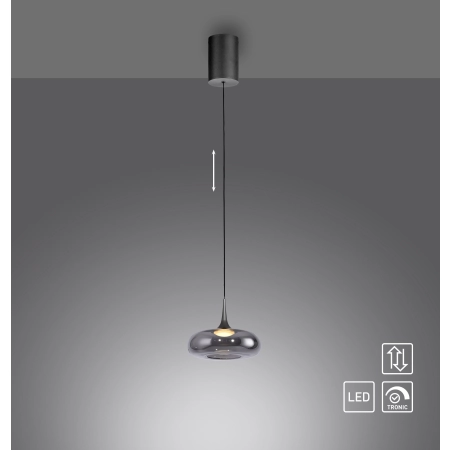 Lampa wisząca POSH 15692-15 - Paul Neuhaus