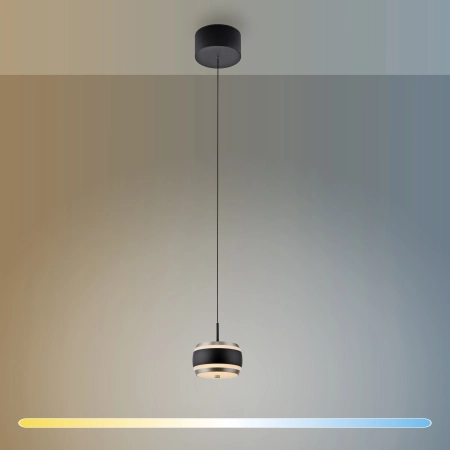 Lampa wisząca nad wyspę czarna perła na pilota PURE FALLING RINGS 2503-18 - Paul Neuhaus