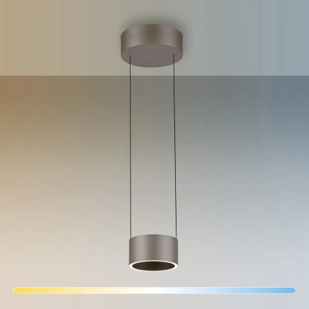 Lampa wisząca na pilota brązowa z funkcją ściemniania PURE CLIPSE 2471-97 - Paul Neuhaus