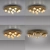 Lampa sufitowa na pilota CCT LED brązowa PURE POPUP 6588-97 - Paul Neuhaus