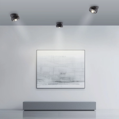 Lampa sufitowa reflektor obrotowy i odchylany PURE MOVE 6235-18 - Paul Neuhaus