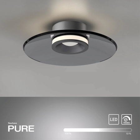 Lampa sufitowa PURE MOON szara 9591-15 - Paul Neuhaus