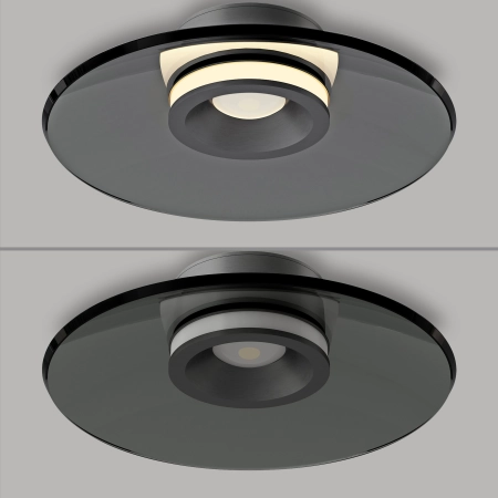 Lampa sufitowa PURE MOON szara 9591-15 - Paul Neuhaus