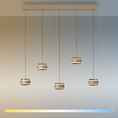 Lampa wisząca brązowa nad stół sterowana pilotem PURE FALLING RINGS 2504-97 - Paul Neuhaus