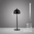 Lampa stołowa przenośna na USB BELLIS 19244-18 - Paul Neuhaus
