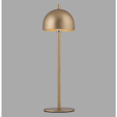 Lampka przenośna zewnętrzna z ładowaniem USB BELLIS 19244-12 - Paul Neuhaus