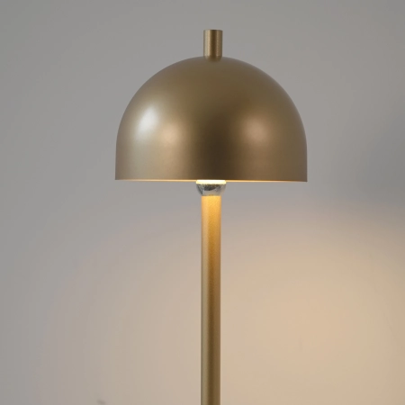 Lampka przenośna zewnętrzna z ładowaniem USB BELLIS 19244-12 - Paul Neuhaus