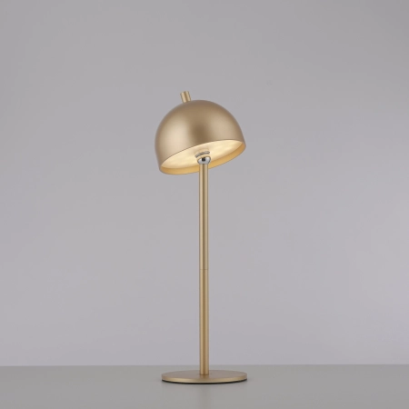 Lampka przenośna zewnętrzna z ładowaniem USB BELLIS 19244-12 - Paul Neuhaus