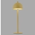 Lampka zewnętrzna przenośna, ładownie USB BELLIS 19244-81 - Paul Neuhaus