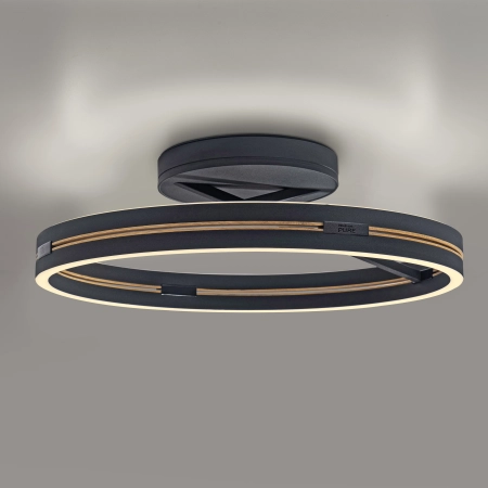 Lampa sufitowa na pilota PURE LOOP czarna 6552-18 - Paul Neuhaus