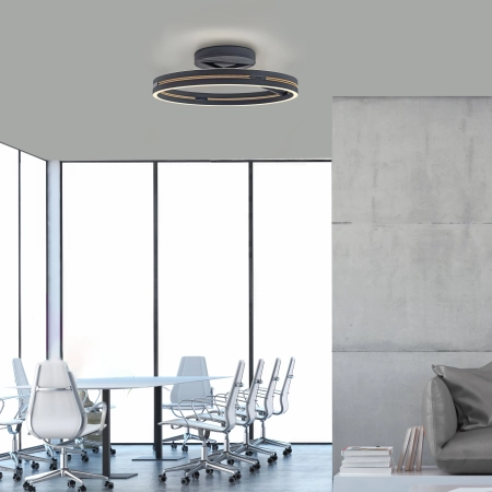 Lampa sufitowa na pilota PURE LOOP czarna 6552-18 - Paul Neuhaus