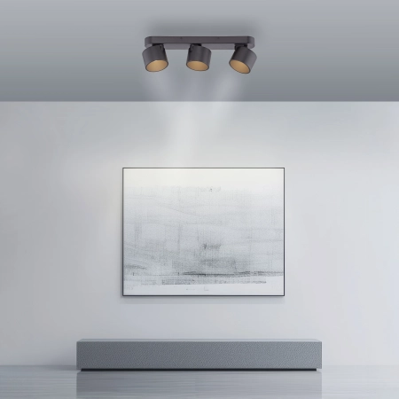 Lampa sufitowa z funkcją ściemniania PURE CUP 6227-18 - Paul Neuhaus