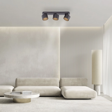 Lampa sufitowa z funkcją ściemniania PURE CUP 6227-18 - Paul Neuhaus