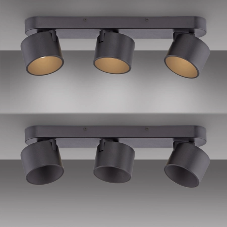 Lampa sufitowa z funkcją ściemniania PURE CUP 6227-18 - Paul Neuhaus