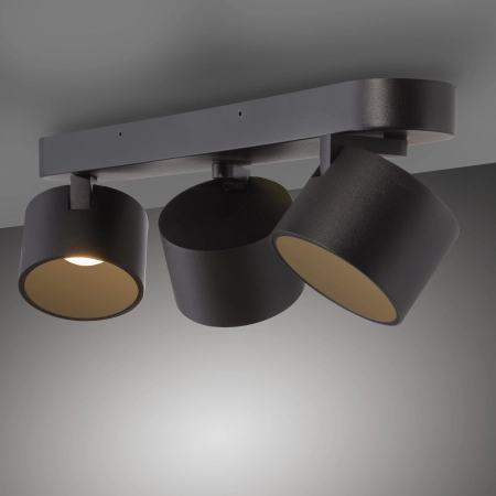 Lampa sufitowa z funkcją ściemniania PURE CUP 6227-18 - Paul Neuhaus