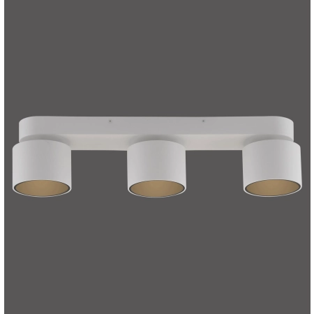 Lampa sufitowa z funkcją ściemniania PURE CUP 6227-16 - Paul Neuhaus