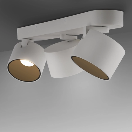 Lampa sufitowa z funkcją ściemniania PURE CUP 6227-16 - Paul Neuhaus