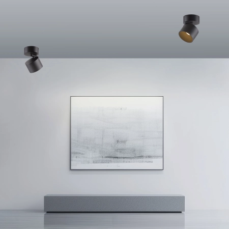 Lampa sufitowa z funkcją DIMM PURE CUP 6226-18 - Paul Neuhaus