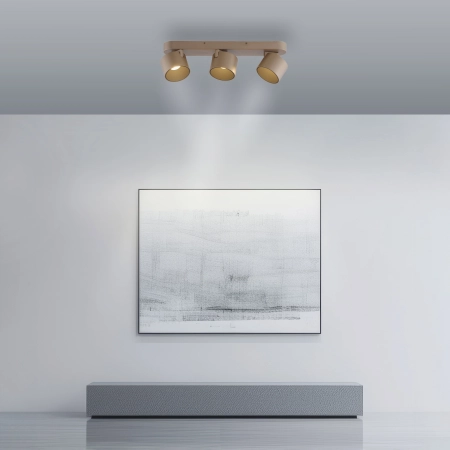 Lampa sufitowa z funkcją ściemniania PURE CUP 6227-97 - Paul Neuhaus