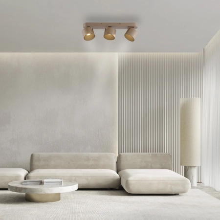 Lampa sufitowa z funkcją ściemniania PURE CUP 6227-97 - Paul Neuhaus