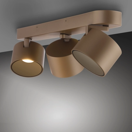 Lampa sufitowa z funkcją ściemniania PURE CUP 6227-97 - Paul Neuhaus